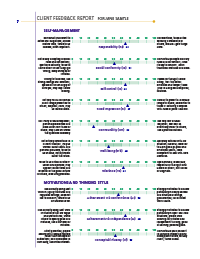 CPI 260® Client Feedback Report